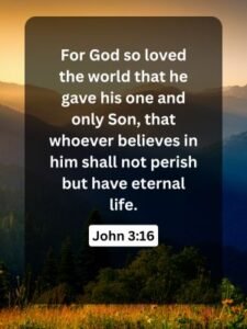 John 316