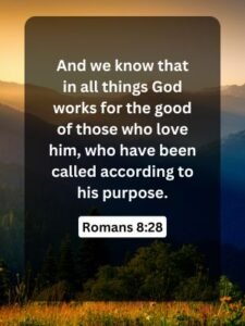 Romans 8:28